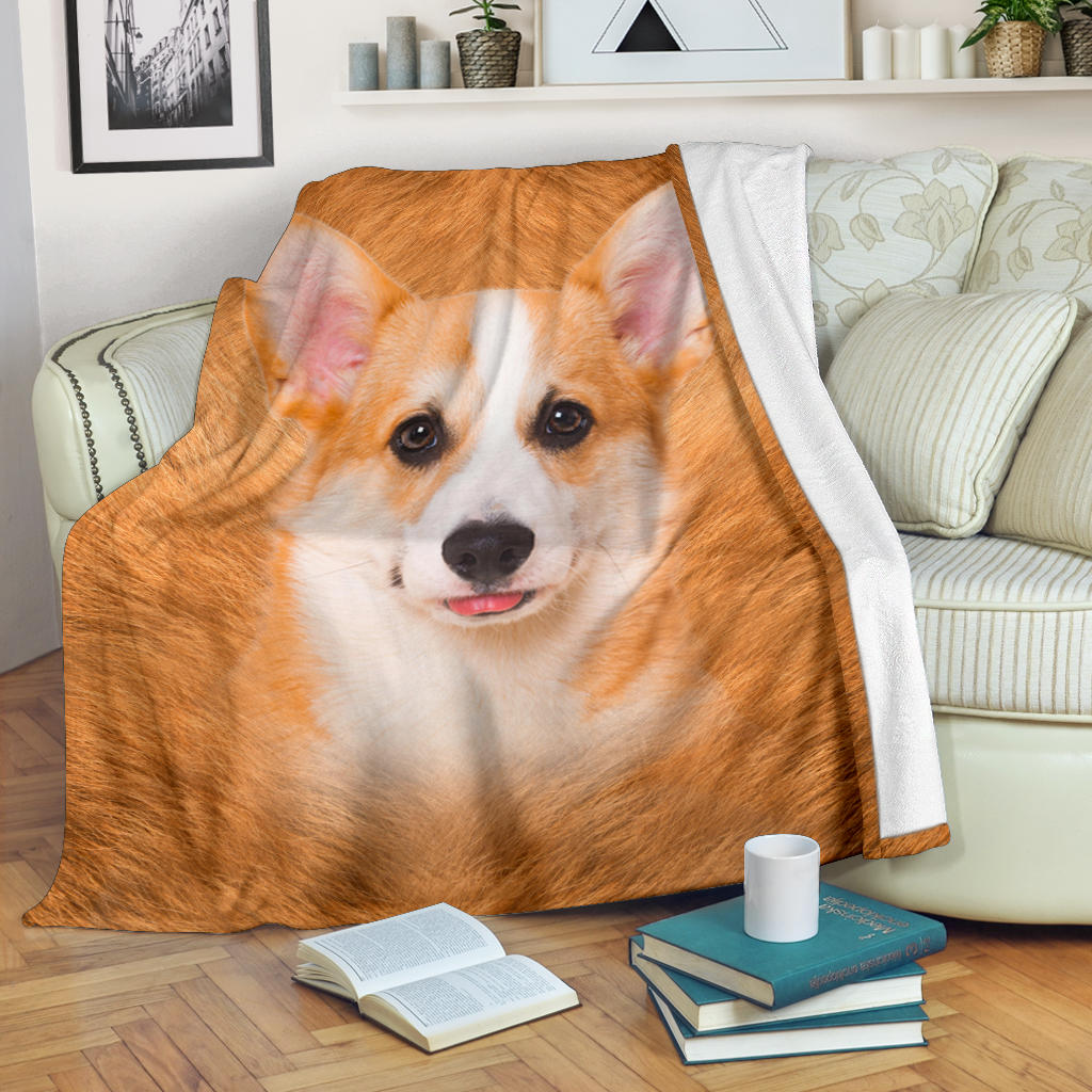 Corgi 2 Face Hair