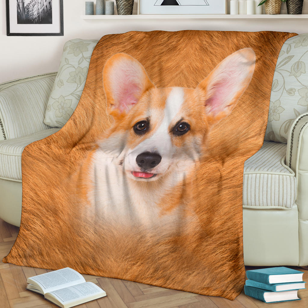 Corgi 2 Face Hair